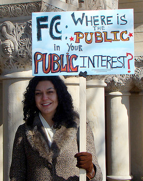 public in the public interest