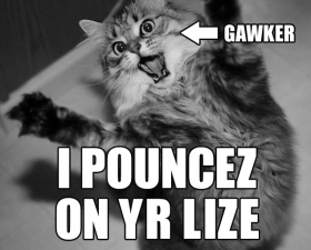 New_media_cat_0.jpg